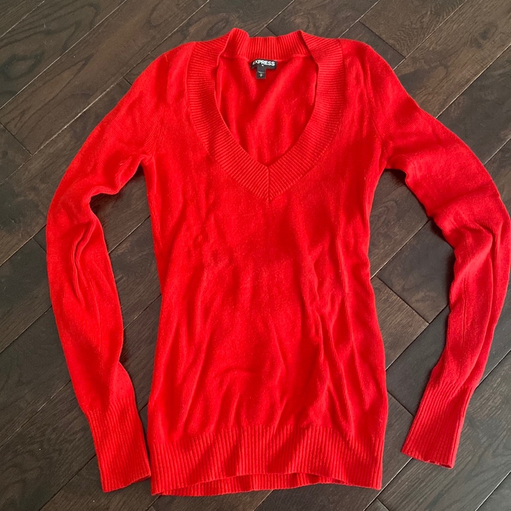 Express v neck sweater